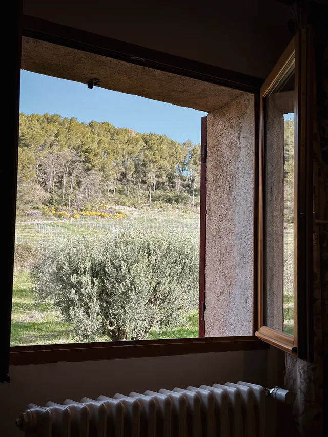 Vue de dehors avec olivirs et vignes - Maison d'hôtes les Arnauds à Aix-en-Provence