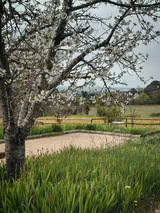 Terrain de pétanque et amandier - Maison d'hôtes les Arnauds à Aix-en-Provence