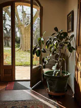 Entrée avec plante - Maison d'hôtes les Arnauds à Aix-en-Provence