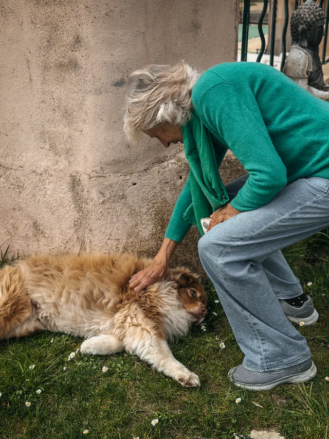 Sheila et Leïca - Maison d'hôtes les Arnauds à Aix-en-Provence